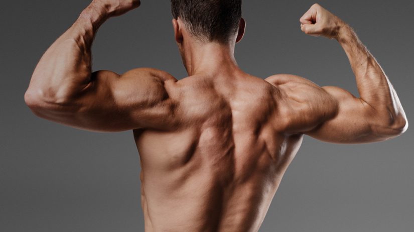 Start building muscle? 5 steps to get started right away