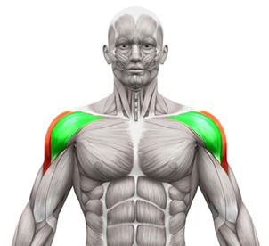 Lateral raises with dumbbells – 90% get this exercise wrong!
